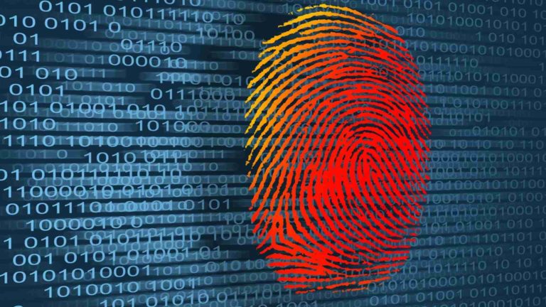 Victim of Identity Theft? 8 Essential Steps To Act Now