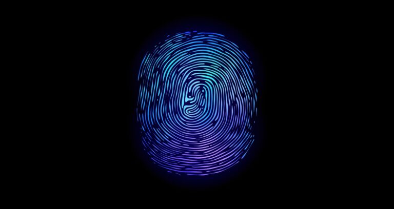 What is biometric verification?