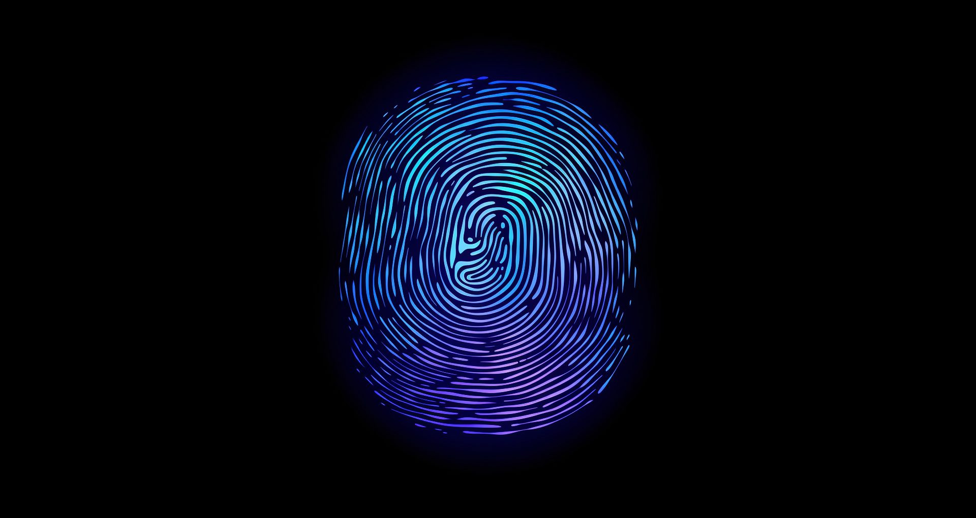 A digital fingerprint for biometric verification