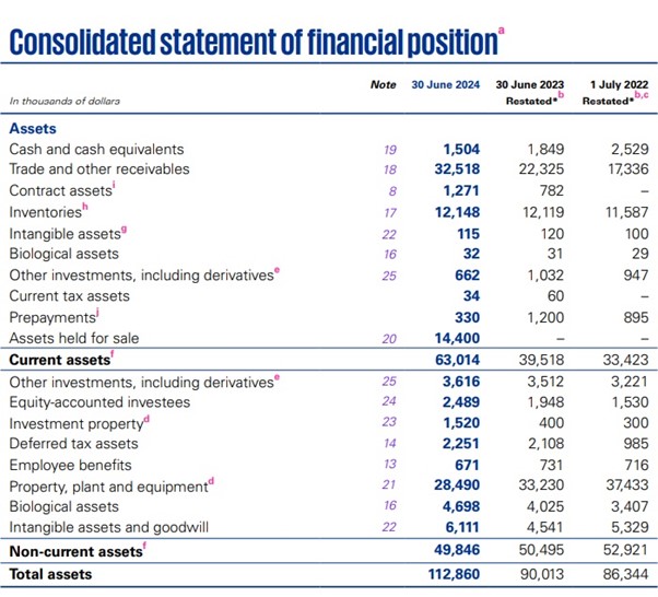 How to read a financial statement: a balance sheet showing assets and liabilities.