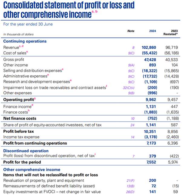 Profit and loss statement example